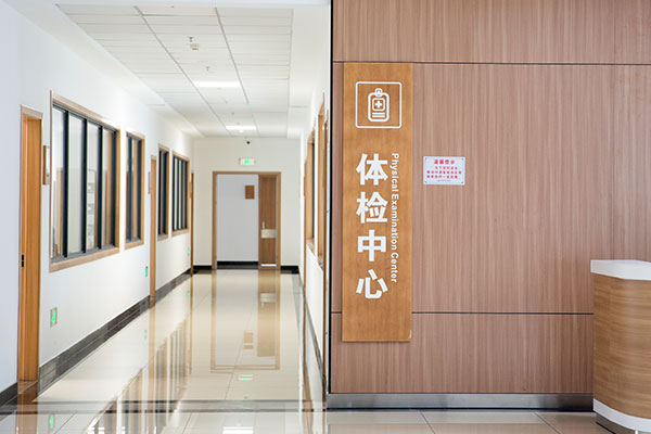 91视频免费下载观看